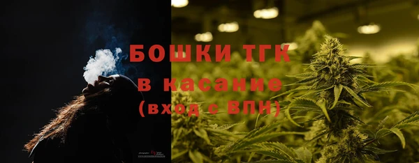 PSILOCYBIN Козловка