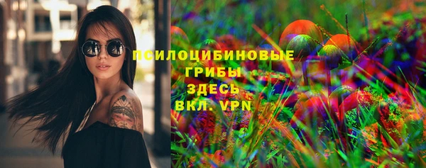 СК Кодинск
