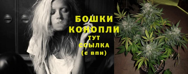 СК Кодинск