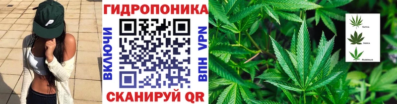МАРИХУАНА гибрид Похвистнево